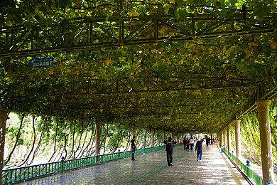 《巫师》系列杰洛特英配演员确诊前列腺癌 目前正在治疗中